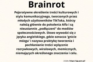 Młodzieżowe Słowo Roku 2024 