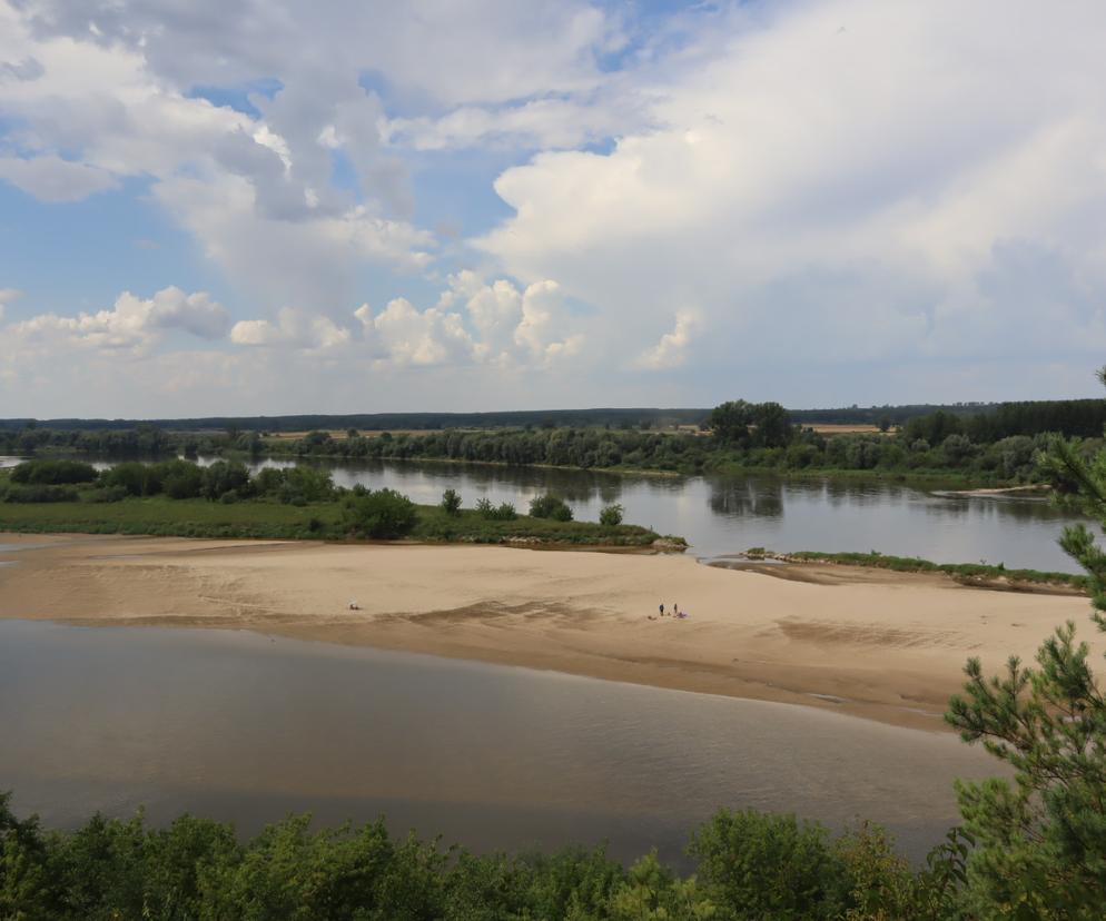 Nowy rezerwat przyrody w woj. lubelskim? Bajkowy Mięćmierz może być jego częścią