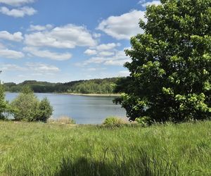 To jezioro w Olsztynie ma niezwykle czystą wodę. Jest kilka dzikich plaż, które świecą pustkami