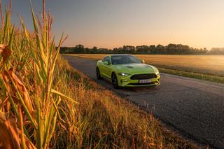 Ford Mustang GT 5.0 V8 55 Edition