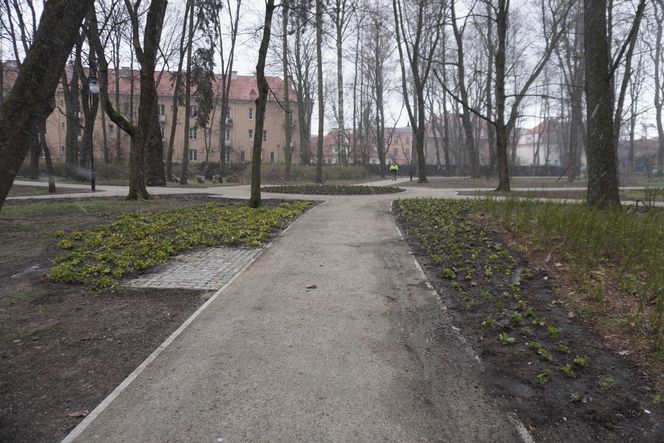 Rewaloryzacja Parku Planty - wiosna 2025