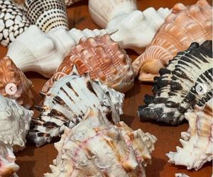 Córka Rubika pozuje w bikini. Ona ma dopiero 16 lat?