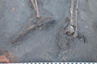 Ludzkie szczątki na terenie przedszkola