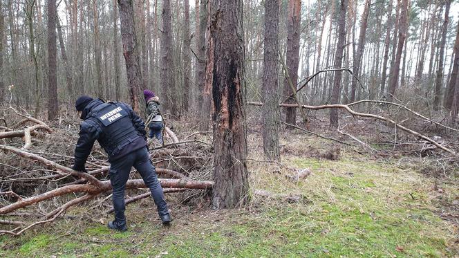 Rutkowski Patrol przeczesuje jezioro i las w Piotrkowie, szukają 32-latka