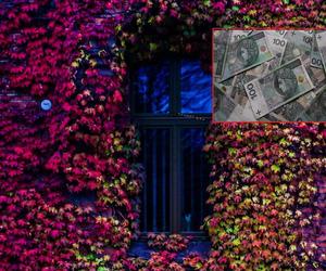 Budżet Torunia na 2024 rok. Astronomiczne liczby