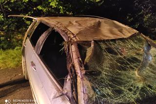 Podkarpackie. BMW wypadło z drogi [ZDJĘCIA]