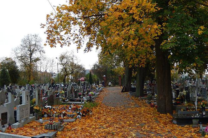 SATANIŚCI pod Kielcami? Bezczelni złodzieje ukradli ponad 80 krzyży z cmentarza