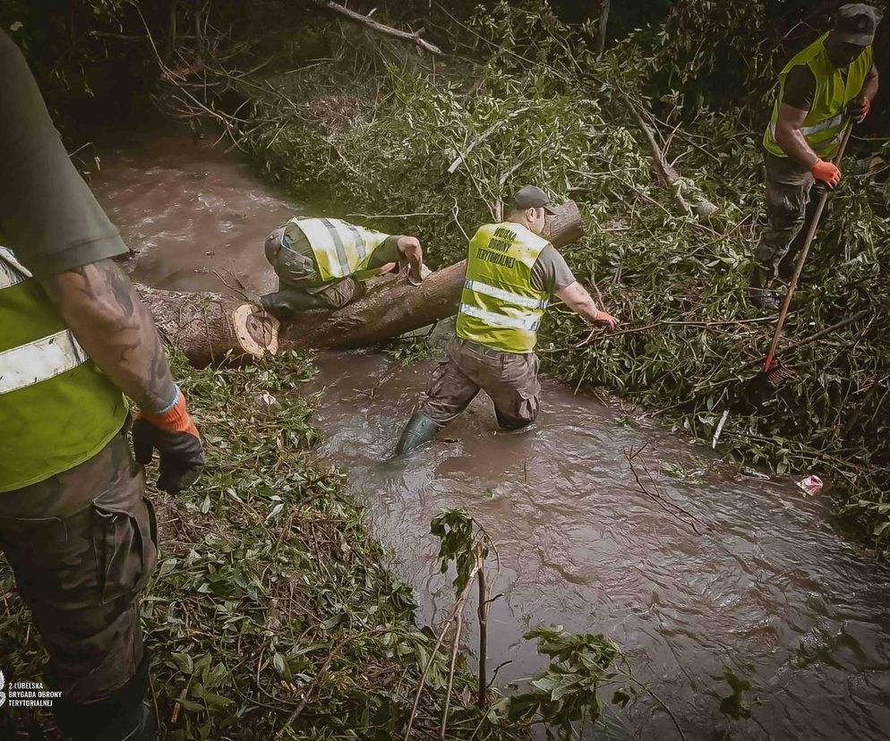 2 Lubelska Brygada Obrony Terytorialnej