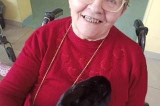 Zbiórka dla Fundacji Azyl w Konstantynowie Łódzkim. Zwierzęta na co dzień pomagają pacjentom ZOL-u