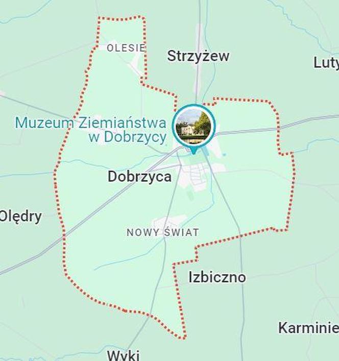 Dobrzyca