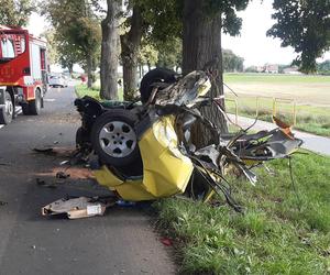 Śmiertelny wypadek pod Świebodzinem. Auto 37- i 32-latka zostało rozerwane na strzępy [ZDJĘCIA].