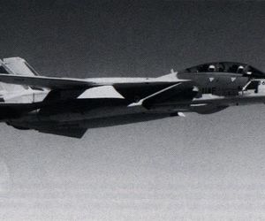 F-14 Tomcat
