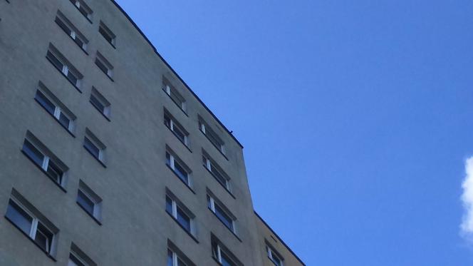 Toruń: Czterolatek wypadł z wieżowca. Świadkowie relacjonują przerażający moment! [NOWE FAKTY]