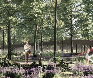 Park Aktywności Rodzinnej w Wawrze: wyniki konkursu