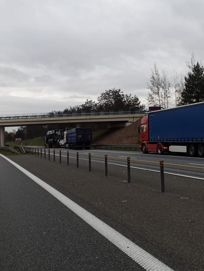 HORROR NA A4 ROZBIŁ RODZINĘ