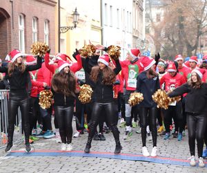 22. Festiwal Biegów św. Mikołajów. Szczytny cel i wspólna zabawa. To było niezwykłe wydarzenie