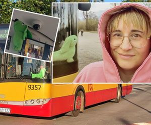 ZTM karze za pluszowego jamnika. 799 złotych grzywny za maskotkę w autobusie