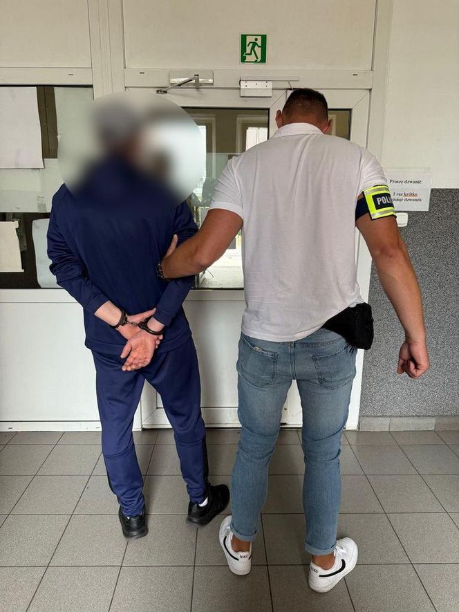 Bydgoszczanin ogołocił sklepy z zabawkami. Policjanci: Zburzyliśmy budowlany plan złodzieja klocków 