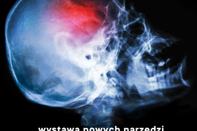 Wystawa Nowych Narzędzi Tortur