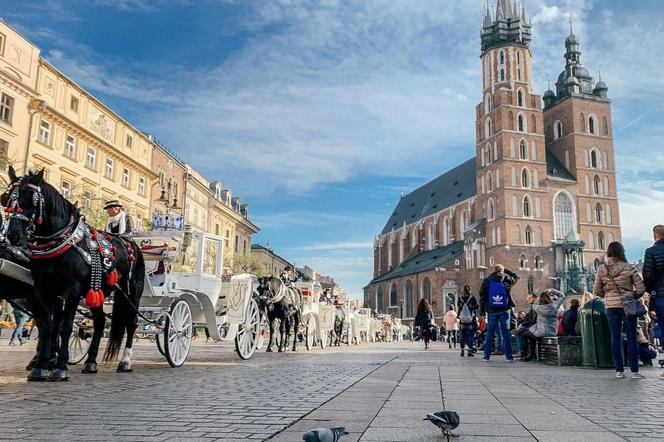 Kraków - podziemia miasta