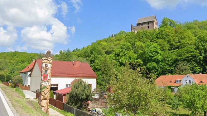 Zamek Świny