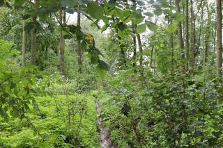 Zabytkowy park pod Lubawą zmienił się nie do poznania. Teraz wygląda jak z bajki