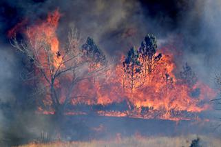 Tragiczne pożary w Kolorado. Spłonęło kilkaset domów, 33 tysiące osób ewakuowano