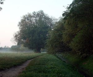 Świerczewo