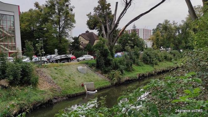 Nieznana substancja zatruła rzekę Kłodnica w Gliwicach