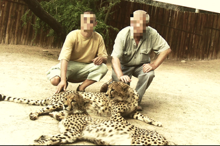 KOBRA nie płacił, dręczył i gwałcił