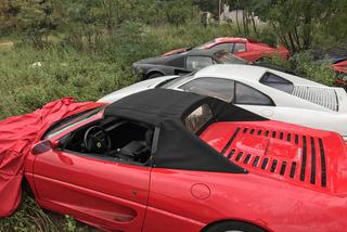 11 klasycznych Ferrari porzuconych w polu