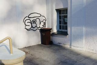 Szpecił Stargard swoją twórczością. Nastoletni pseudografficiarz złapany