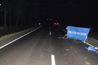 Kolejny śmiertelny wypadek, tym razem w okolicach Chełma. Policja wyjaśnia, co się stało