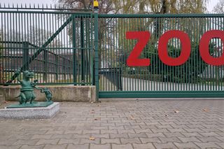 Krakowski smoczy szlak się powiększył. Kolejna figurka stanęła przy wejściu do zoo