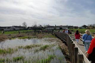 Kładka Śliwno-Waniewo. Ruszył sezon. Masa specerujących