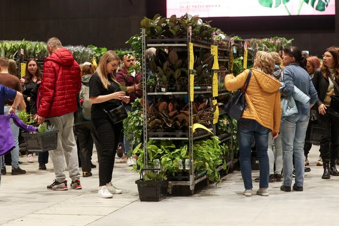 Festiwal roślin odbywa się w Katowicach