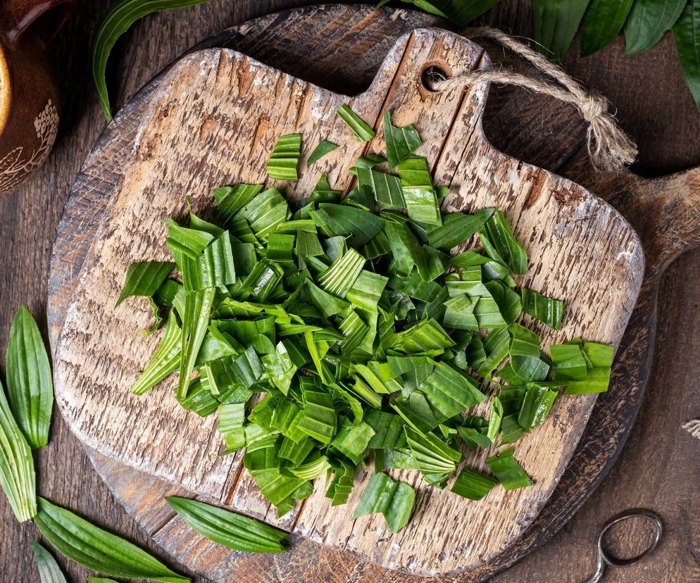 Doskonała dla skóry i żołądka, rośnie na każdej łące. Czerwiec najlepszym czasem na zbiory