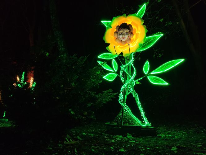 Park iluminacji w Lublinie