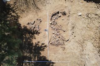 W trakcie poszukiwań IPN na Górkach Czechowskich znaleziono szczątki 40 osób