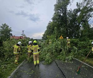 Skutki nawałnic w powiatach brzeskim i tarnowskim z 7 lipca 2025 roku