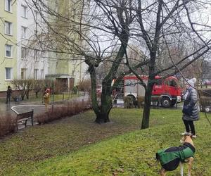 Pożar bloku przy ul. Łukowskiej w Warszawie