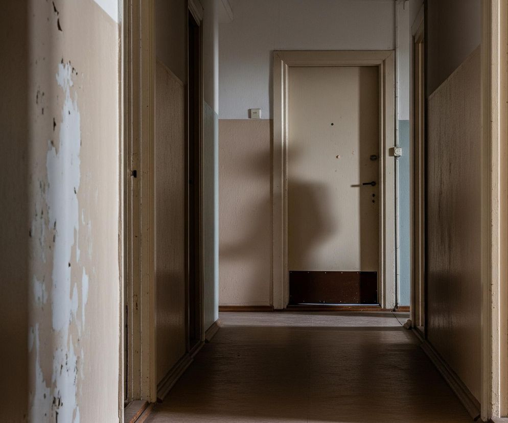 Długi, wąski korytarz rozciąga się w głąb obrazu, prowadząc do zamkniętych drzwi na końcu. Ściany są dwukolorowe, z dolną częścią w odcieniu bladego różu i górną w kremowym beżu, gdzie miejscami farba odpada, ukazując jaśniejsze plamy. Podłoga w korytarzu jest drewniana, w kolorze ciemnego brązu, a wzdłuż ścian biegną listwy przypodłogowe. Po obu stronach korytarza widoczne są otwarte drzwi, za którymi panuje ciemność.
