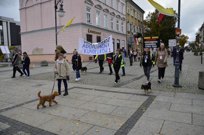 Wielki marsz adopciaków w Radomiu