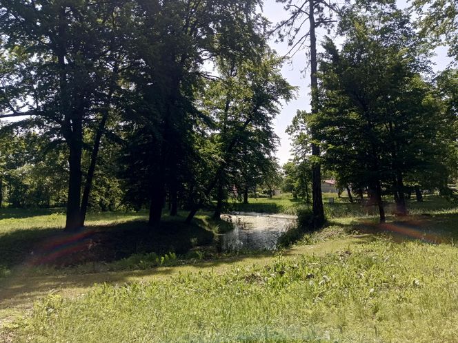 Parki podworskie w powiecie gdańskim