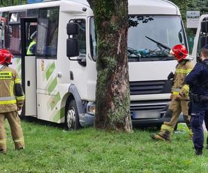 Zakopane. Bus uderzył w drzewo. Kierowca najprawdopodobniej zasłabł