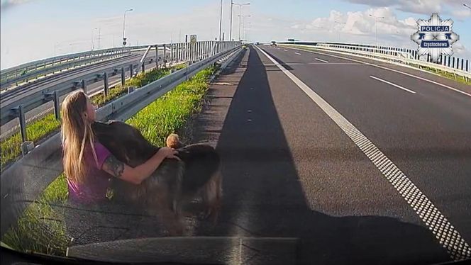 Policjantka z Częstochowy uratowała psy na S5