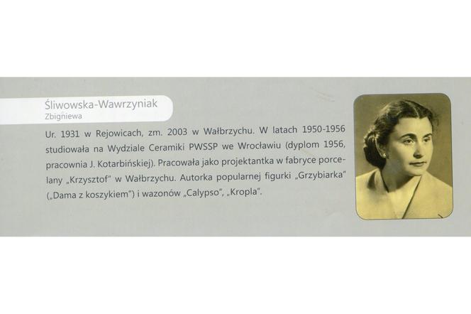Historia polskiego designu - Zbigniewa Śliwowska-Wawrzyniak