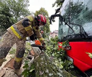 Drzewo przewróciło się na miejski autobus. Są osoby poszkodowane