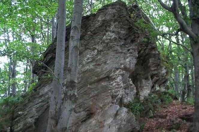Opołonek