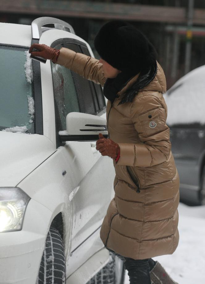Mucha skrobie szyby kartą kredytową
